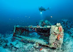 redsea.jpg.webp