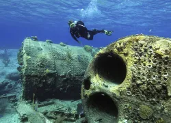 san-salvador-diving.jpg.webp