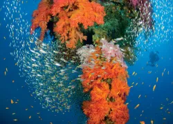 scd_secretspot_-.jpg.webp