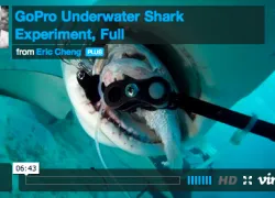 screen-shot----at-..-pm.jpg.webp