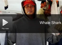 screen_shot_--_at_.._pm.png.webp