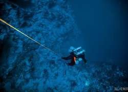 scu-bermuda-deep-blue-large.jpg.webp