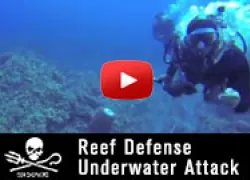 scu-sea-shepherd-diver-attack-thumb.jpg.webp