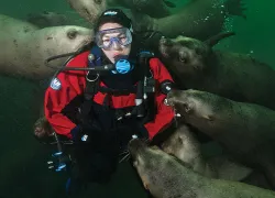 scu_diver_seals_british_columbia.jpg.webp