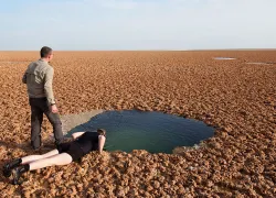 scu_egypt_look-in-spring.jpg.webp
