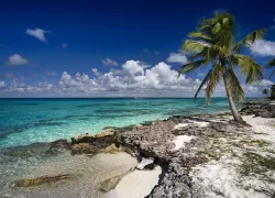 scuba-aruba_shutterstock_.jpg.webp