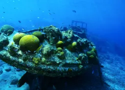 scuba-curacao_shutterstock_.jpg.webp