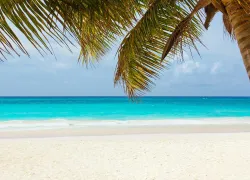 scuba-destination-abaco.jpg.webp