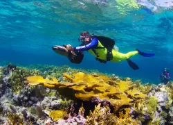 scuba-diving-bahamasstuart-sw-reef-dpv.jpg.webp