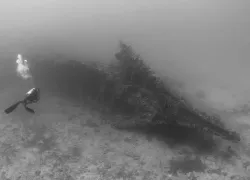 scuba-diving-bvi-rhone-shipwreck.jpg.webp