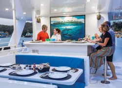 scuba-diving-liveaboard-dining.jpg.webp