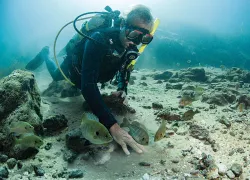 scuba-diving-rainbow-river-florida.jpg.webp