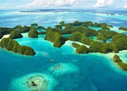 scuba-palau_shutterstock_.jpg.webp