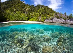 scuba-papuanewguinea_shutterstock_.jpg.webp