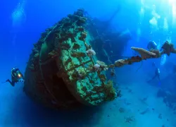 scuba-redsea_shutterstock_.jpg.webp