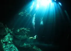 scuba-rivieramaya_shutterstock_.jpg.webp