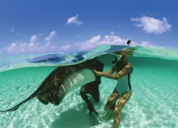 scuba-stingray-turks-caicos_.jpg.webp