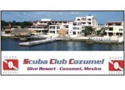 scuba_club_cozumel_picture.jpg.webp