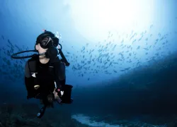 scuba_diver_unexplained_hit_.jpg.webp