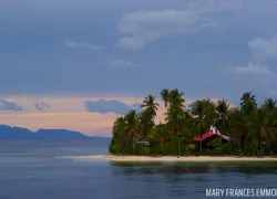 scuba_diving_raja_ampat_mioskon_dive_site_mfe.jpg.webp