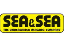 seaandsealogo.jpg.webp