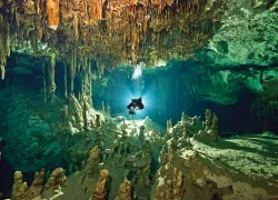 seawatch-mexico-cenotes-teaser.jpg.webp
