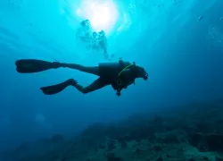 self-rescue.jpg.webp