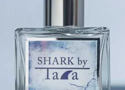 shark-bottle_x.jpg.webp