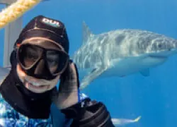 sharkselfiethumb.jpg.webp