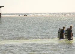 shore-diving.jpg.webp