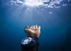 shutterstock__thumb.jpg.webp