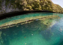 shutterstock__palaus-inner-lagoon-  .jpg.webp