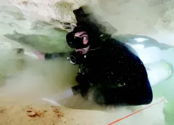 silt_out_.jpg.webp