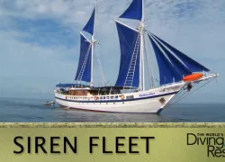 sirenfleet-wbdr.png.webp
