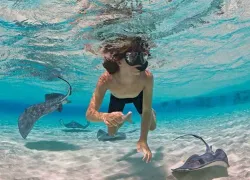 spd-caymanislands-stingraycity-x.jpg.webp