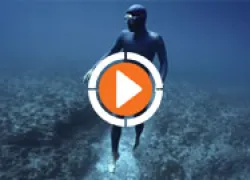 spd-oceangravity-thumb.jpg.webp
