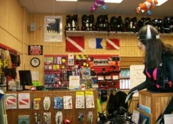store.jpg.webp
