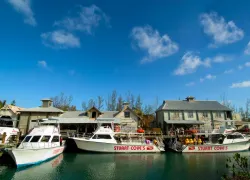 stuart_cove_dock_shot_.jpg.webp