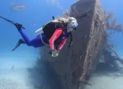 stuarts_cove_bond_wrecks.png.webp