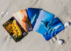 teaser-padi-cert-cards-credit-padi.png.webp