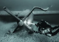 teaser_engine_ship_.jpg.webp