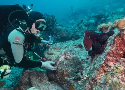 thailand-underwater.jpg.webp