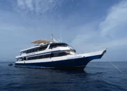 thailandaggressor.jpg.webp