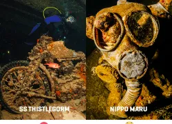 thistlegorm-nippomaru.jpg.webp