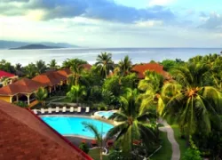 turtle-bay.jpg.webp