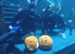 underwater-pumpkin-carving.png.webp