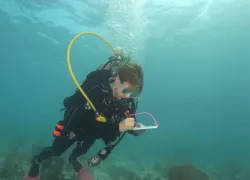 underwatertestingspree.jpg.webp