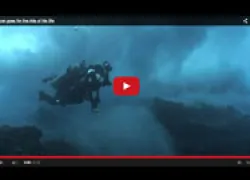 vortex-video_thumb.jpg.webp