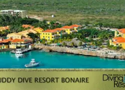 wbdr-buddy-dive-resort-bonaire_.jpg.webp