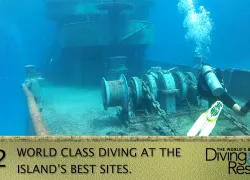 wbdr__don_fosters_dive_cayman.jpg.webp